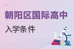 北京朝陽(yáng)區(qū)國(guó)際高中入學(xué)條件