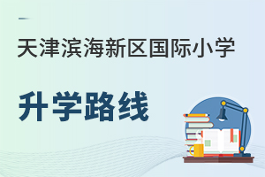 天津濱海新區(qū)國際小學升學路線