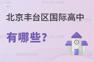 北京豐臺區(qū)國際高中有哪些