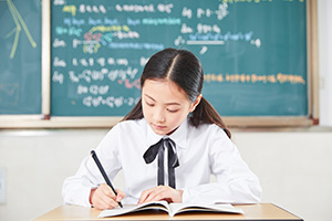 了解學校辦學資質(zhì)，北京市實驗外國語學校是私立還是公立學校？