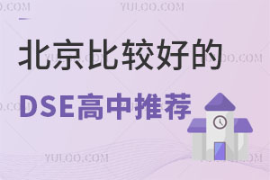 2024DSEɿl(f)^õDSE]