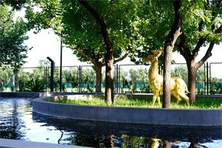 北京市通州區(qū)私立樹(shù)人學(xué)校