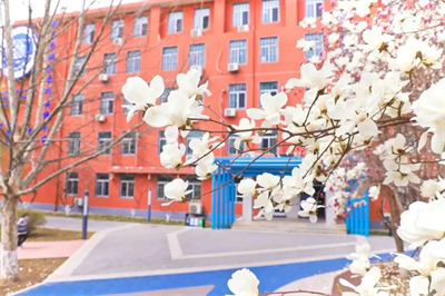 北京新府學(xué)外國語學(xué)校(國內(nèi)班)高中用戶家長關(guān)注需求點整理，2025年擇校必讀