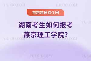 ϿΈ(bo)ྩW(xu)Ժ?2024ȡ?jn)?sh)c2025A(y)y(c)