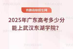 2025年廣東高考多少分能上武漢東湖學(xué)院？近三年錄取分?jǐn)?shù)線及位次分析