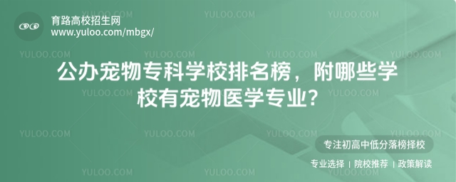 公辦寵物�？茖W(xué)校排名榜，附哪些學(xué)校有寵物醫(yī)學(xué)專業(yè)