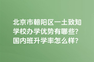 北京市朝陽區(qū)一土致知學(xué)校辦學(xué)優(yōu)勢有哪些？國內(nèi)班升學(xué)率怎么樣？