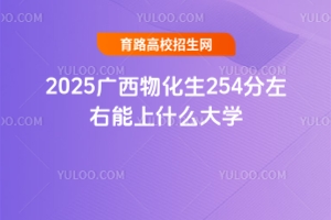 2025Vﻯ254ʲôW(xu)