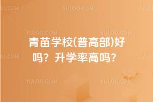 青苗學校(普高部)好嗎？升學率高嗎？