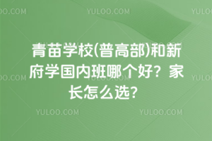 青苗學校(普高部)和新府學國內(nèi)班哪個好？家長怎么選？