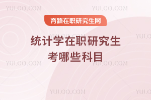 統(tǒng)計(jì)學(xué)在職研究生考哪些科目
