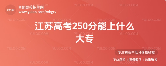 2025꽭K߿250ʲô