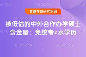 被低估的中外合作辦學(xué)碩士含金量：免統(tǒng)考≠水學(xué)歷