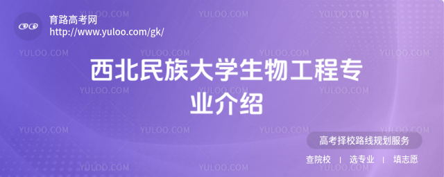 W(xu)﹤̌I(y)B