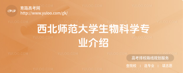 W(xu)ƌW(xu)(zhun)I(y)B