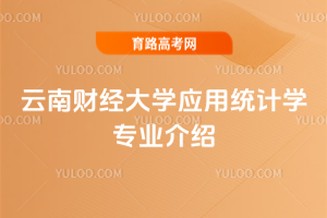 ؔ(ci)(jng)W(xu)(yng)ýy(tng)Ӌ(j)W(xu)(zhun)I(y)B