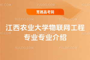 r(nng)I(y)W(xu)(lin)W(wng)̌(zhun)I(y)(zhun)I(y)B