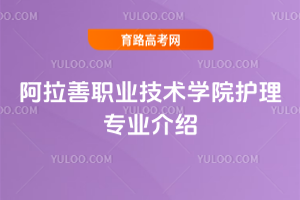 I(y)g(sh)W(xu)Ժo(h)팣I(y)B